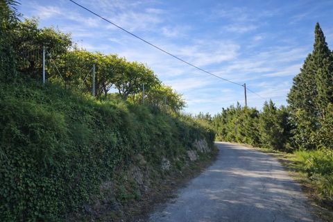Grond in Benimeli, Alicante, Benimeli - € 75.000 | Ref: PNPT297 - foto 29